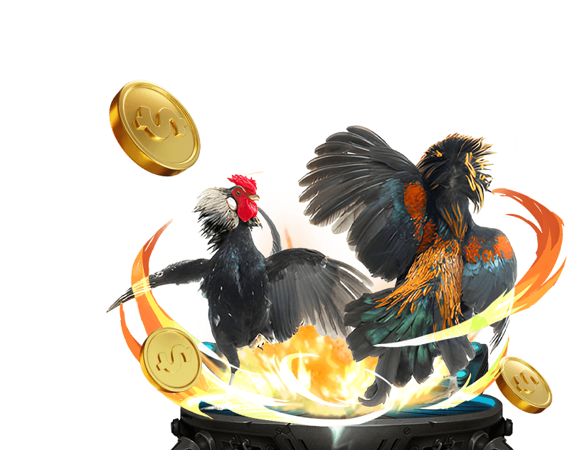 Hình ảnh minh họa cookie và dữ liệu